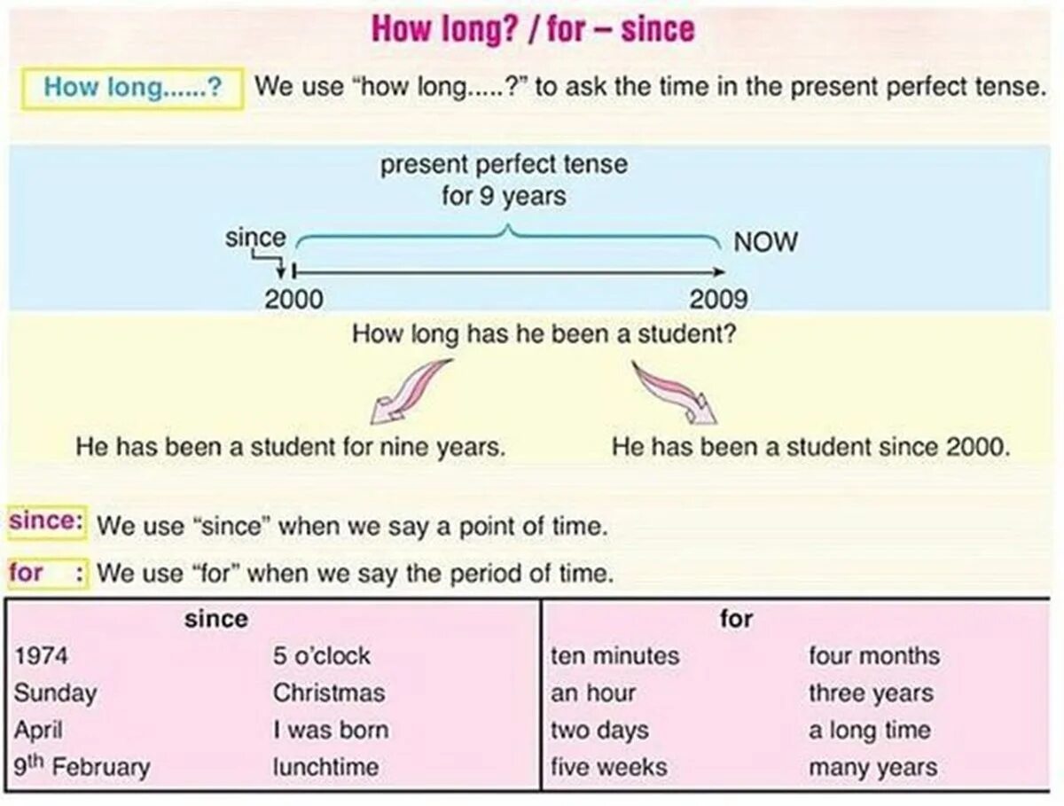 Ten years sentence. Present perfect грамматика английского. For since how long правило. Разница since и for в present perfect. Предложения с since в present perfect.