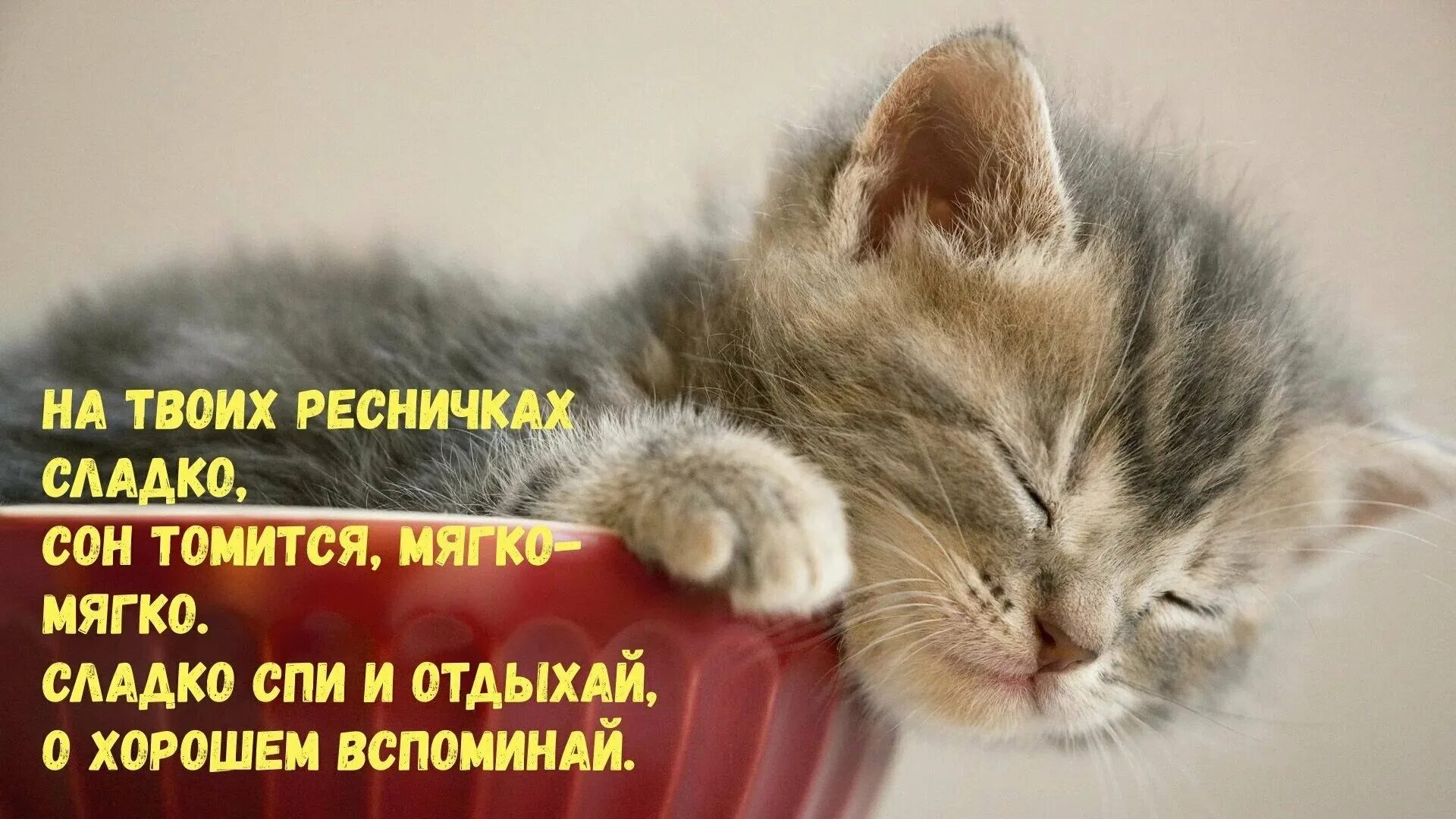 Пора уснуть последним сном