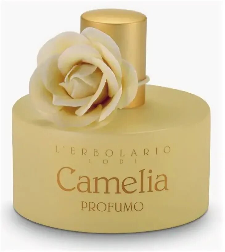 Камелия аромат. Лерболарио Камелия. Camelia духи. Камелия духи Франция. L'Erbolario духи.
