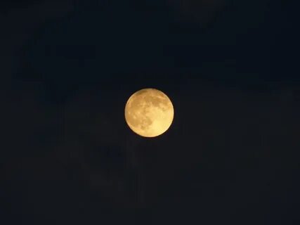 Early night
