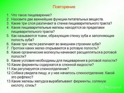 Выполняют очень важную функцию
