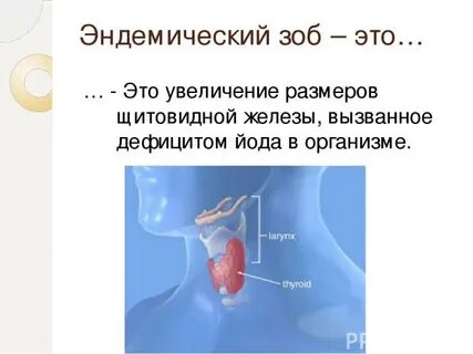 Зоб относится к