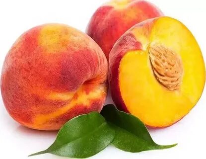 Порно GIF анимацияларын онлайн көру