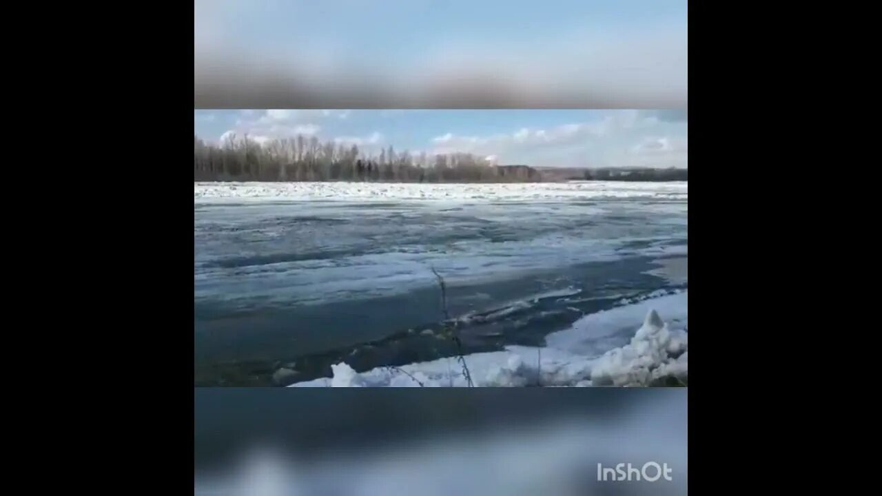 Где вскрылась река. Ледоход на реке кондома в Калтане. Калтан река. Камеры реки кондома Калтан. Веб камера река кондома.