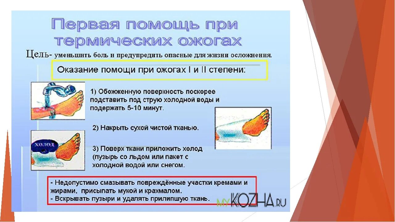 Ожоги обж 8 класс. Ожог алгоритм оказания первой помощи. Последовательность оказания ПМП при термическом ожоге:. Алгоритм оказания доврачебной медицинской помощи при ожогах.. Алгоритм оказания первой помощи при химических и термических ожогах.