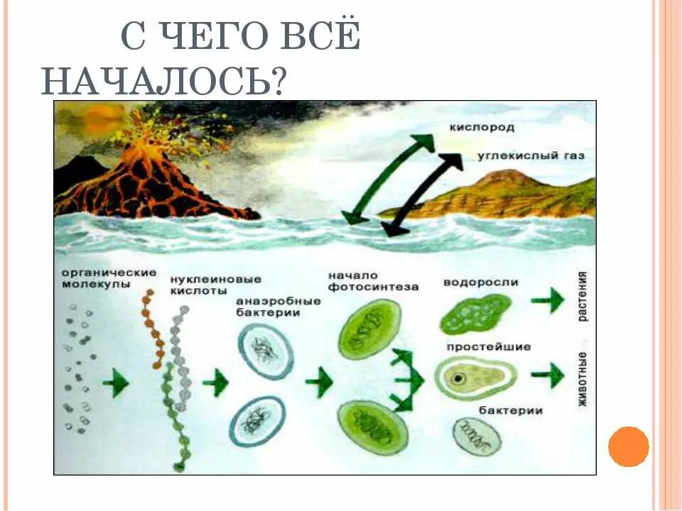 Биохимическая гипотеза схема. Возникновение жизни на земле теория биохимической эволюции. Биохимические гипотезы происхождения жизни. Гипотеза биохимической эволюции рисунок.