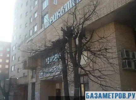 Пушкино горького