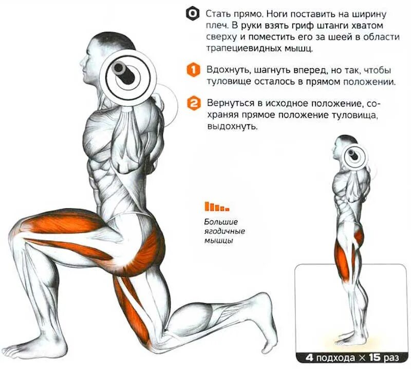 Мышцы работающие при приседании. Выпады со штангой техника выполнения для мужчин. выпады со штангой какие мышцы работают. выпады со штангой на плечах. выпады вперед со штангой на плечах..