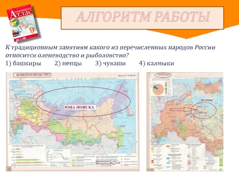 Какой из перечисленных народов относится. Традиционным занятиям какого из перечисленных народов России. К традиционным занятиям какого из перечисленных народов. У каких народов России традиционным занятием является оленеводство. Традиционные занятия народов России.