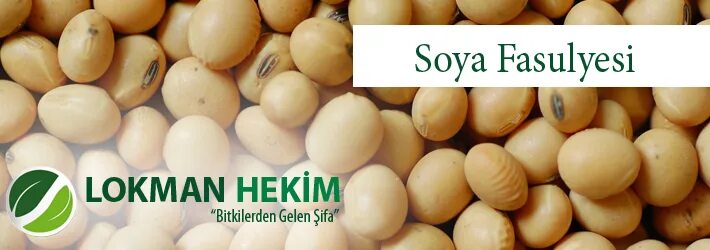 Соя перевод на русский. Soybean перевод.