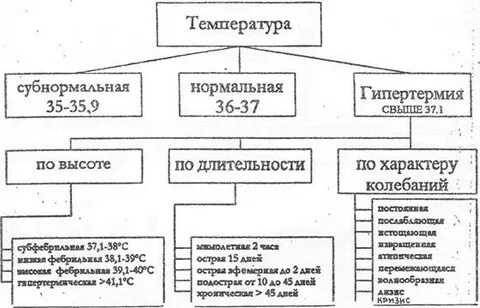 Виды температур схема