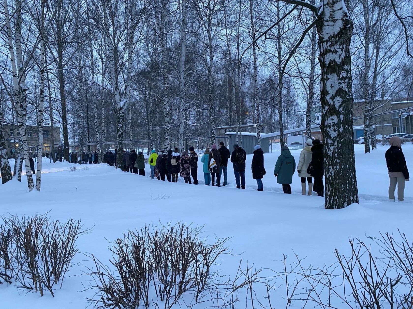 31 января 19 года. Очереди в ярославских поликлиниках. Очередь в поликлинике. Очередь в поликлинику на улице. Очередь Ярославль.