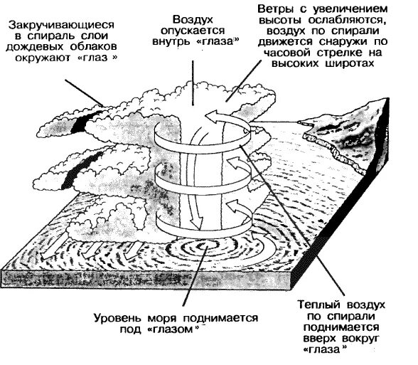 Схема тайфуна. Тайфун схема возникновения. Тайфун схема образования. Ураган схема возникновения. Схема зарождения смерчи.