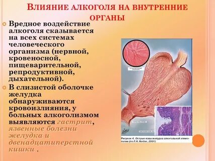 Влияние на органы