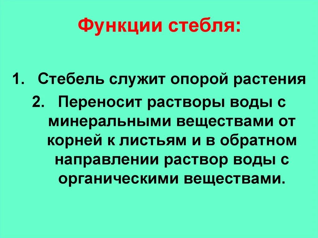 Стебель функции