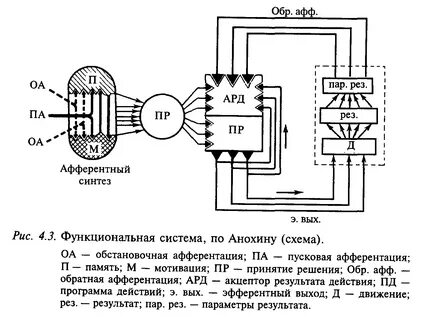 Система поведенческого акта