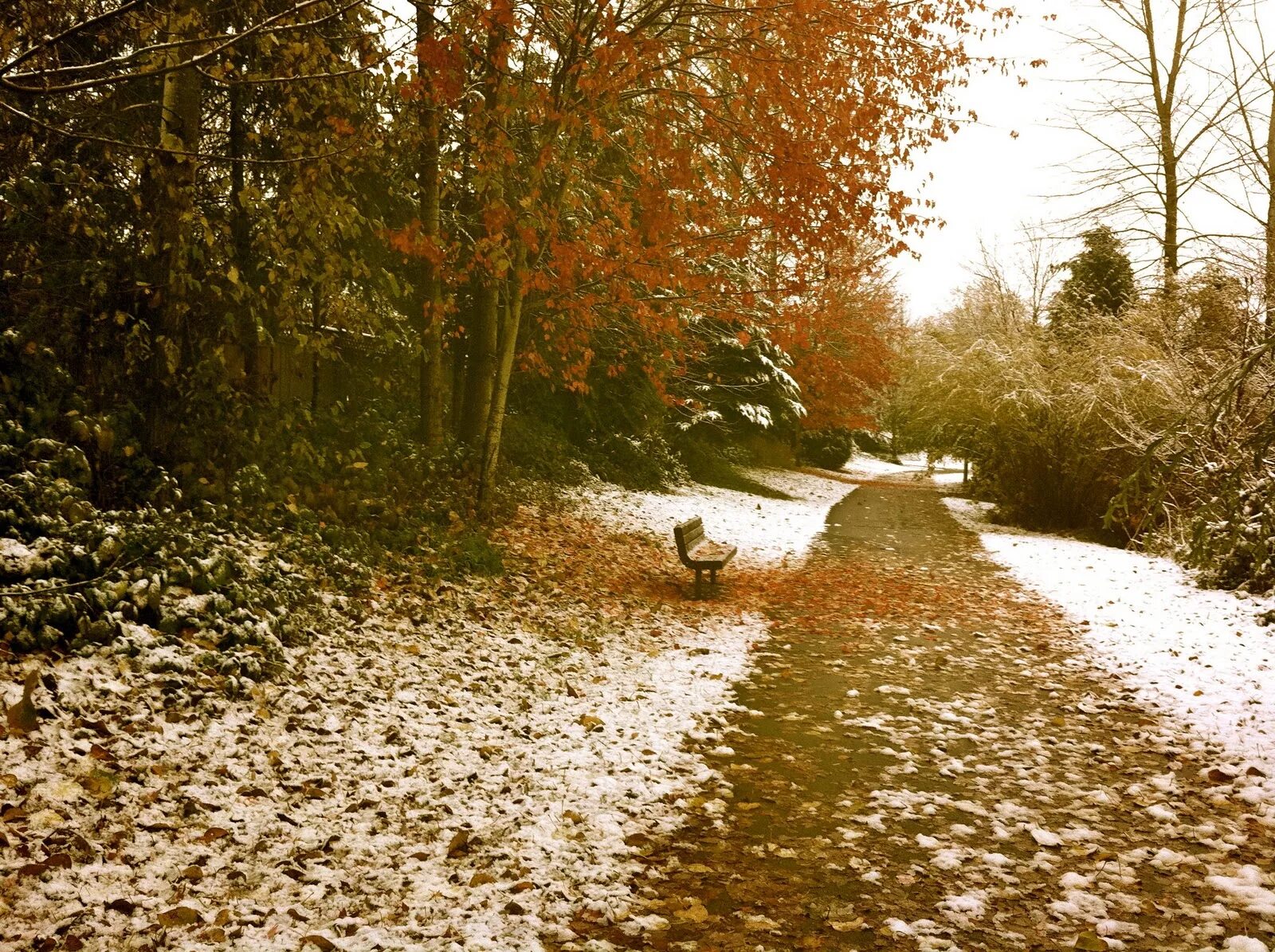 Warm november. Ноябрь. Конец ноября. Ноябрь картинки. Теплого ноября.