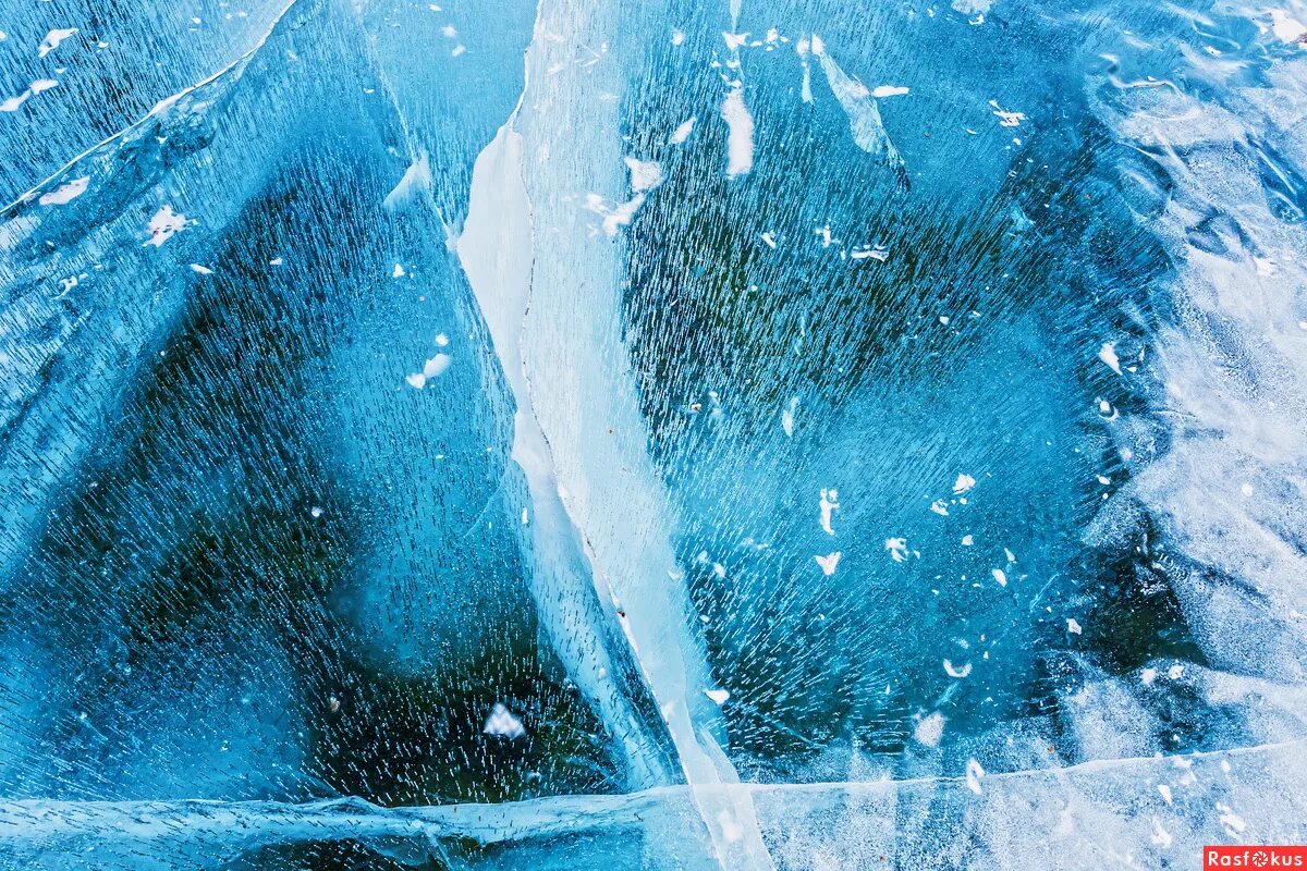 ледяная птица. вода айсберг калининград. ледяной воздух. пузырьки на байкале большое голоустное. ледяной воздух.