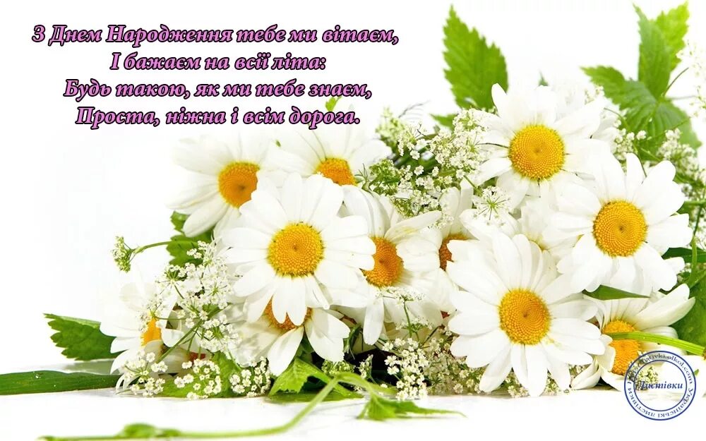 С днем рождения сестре на украинском. З днем народження. Вітаю з днем народження. Листівка з днем народження для жінки. Найкращі побажання з днем народження.