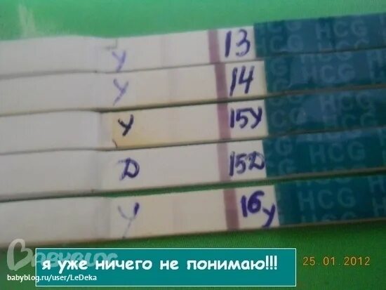 Тест на 2 месяце беременности. При задержке месячных. Беременность до месячных. Тесты до задержки месячных. Задержка месячных месяц.