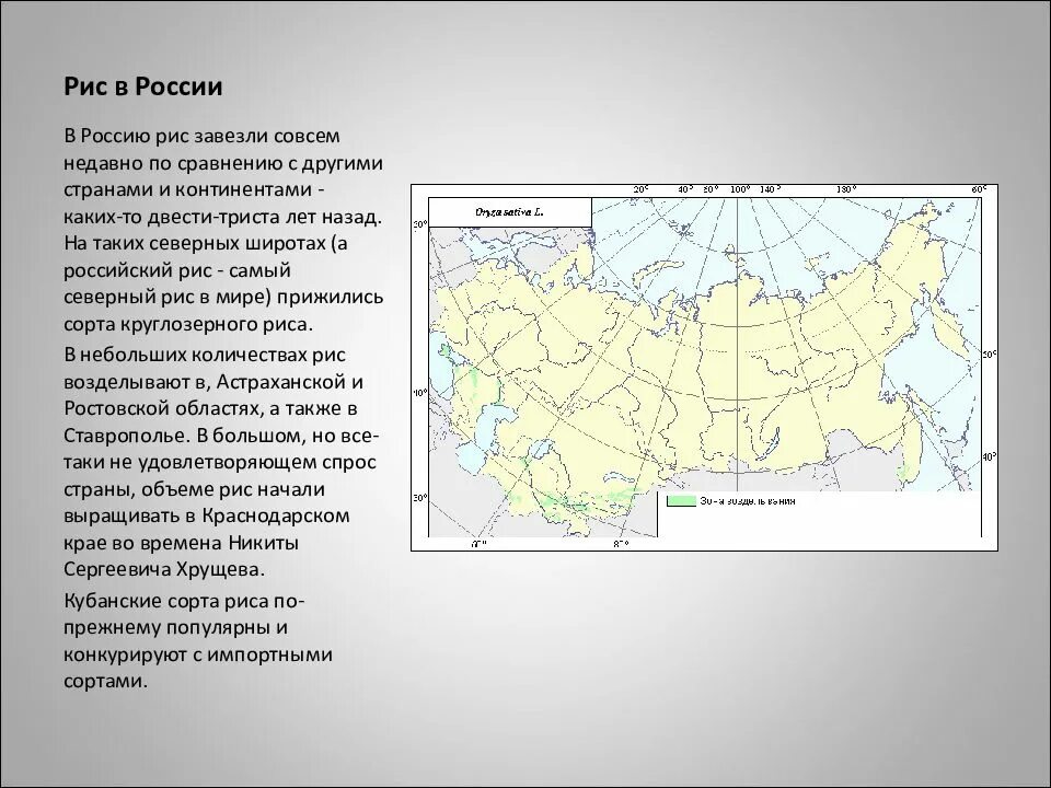 Рис экономические районы. Где выращивают рис в России. Карта выращивания риса в России. Районы где выращивают рис на карте России. Районы выращивания риса в России на карте.