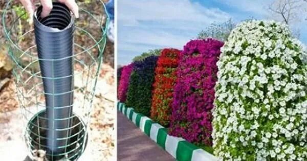 Вертикальные клумбы для петунии своими руками фото