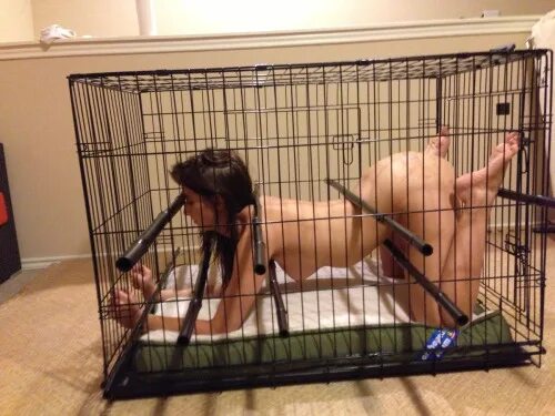 Голые девушки в клетке - порно фото онлайн