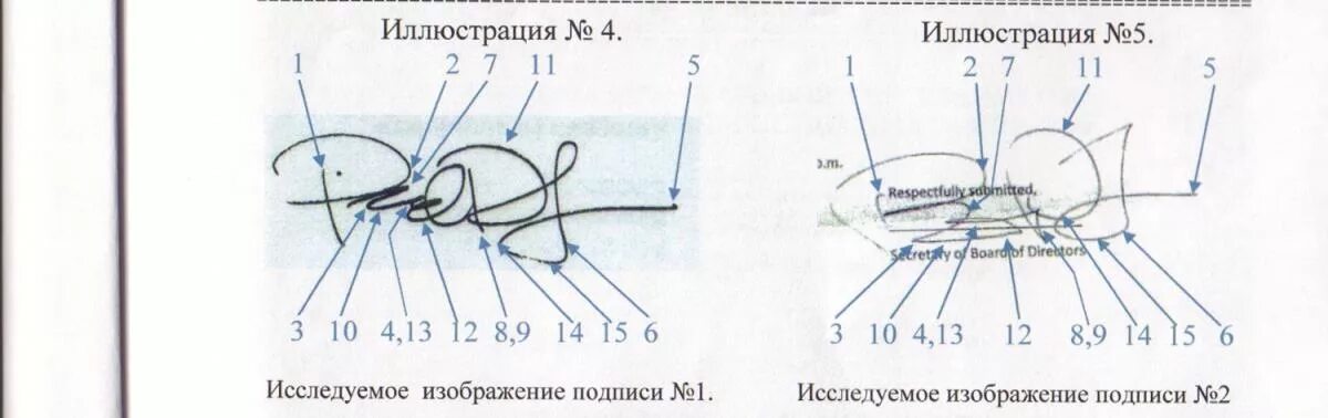 Выберите три верные подписи к рисунку