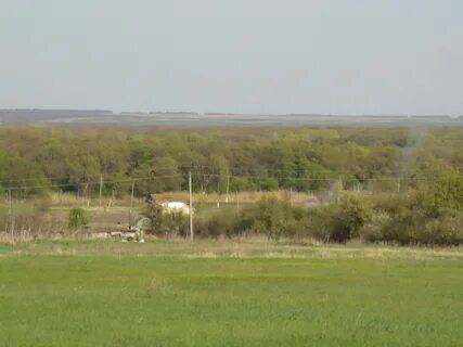 Погода куликовский волгоградская область