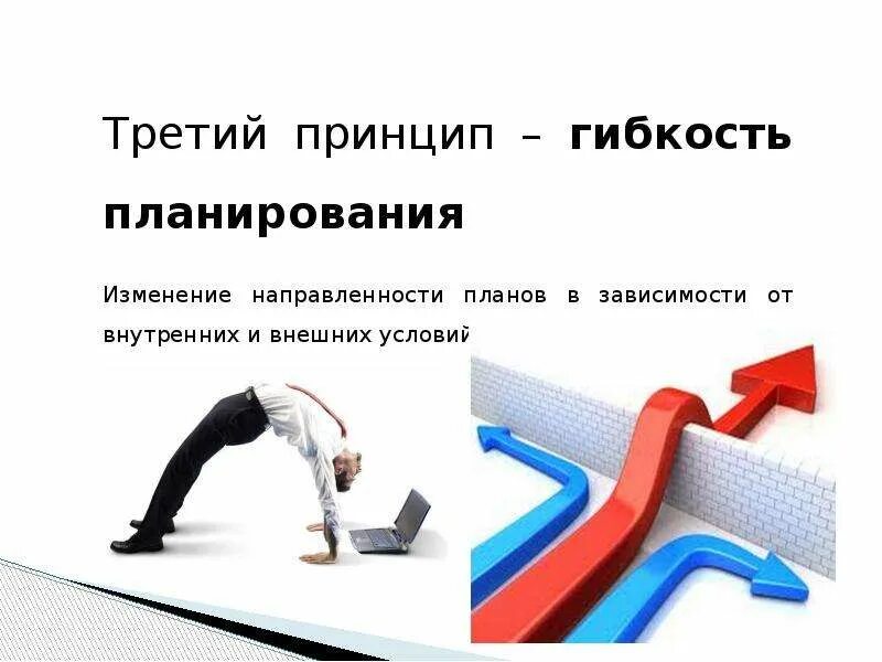 Гибкость данных это. Гибкость организации. принцип гибкости. гибкость в менеджменте. принцип гибкости в менеджменте.