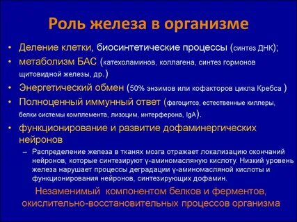 Функции ионов железа