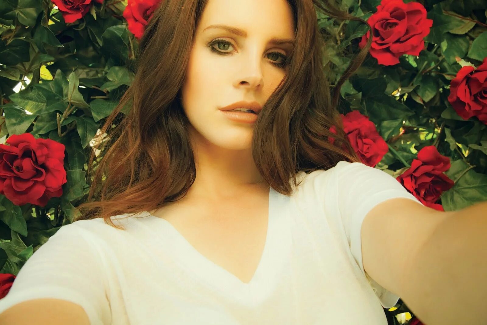 Kfgyf LTKL HTQ. Песни lana del rey beautiful