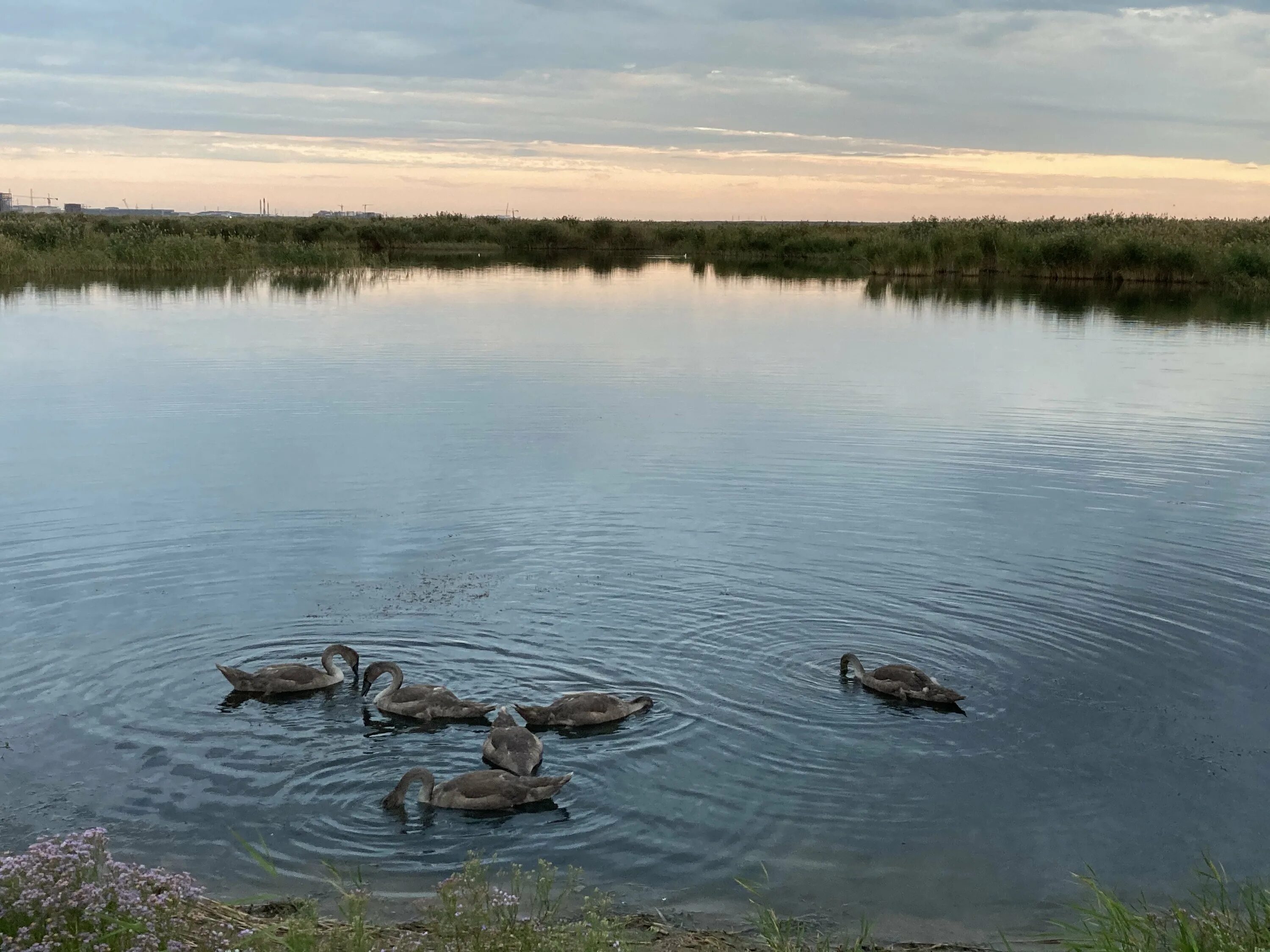 Озеро Талдыколь. Озеро Кулыколь. Озеро Талдыколь Алтай. Астана озеро