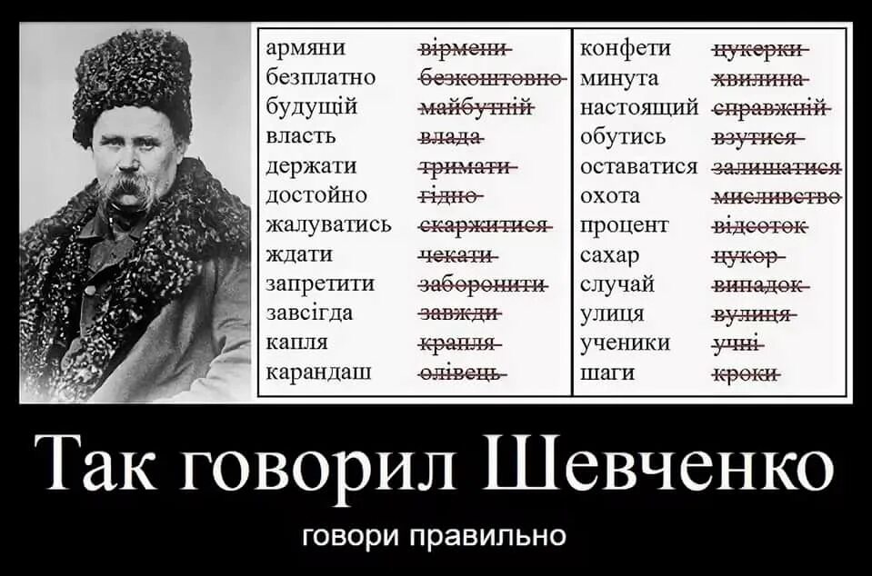 Так говорил Шевченко. Украинский язык. Демотиваторы на украинском языке. Украинский и русский язык.