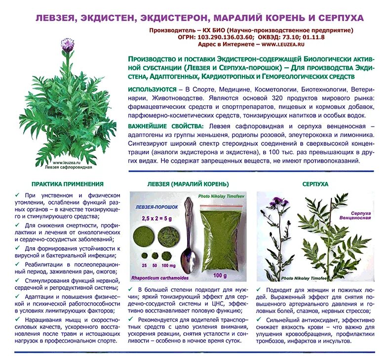 Левзея инструкция по применению для чего применяется. Левзея сафлоровидная лекарственные препараты. левзея сафлоровидная корневища с корнями. левзея сафлоровидная адаптоген. левзея (корень).