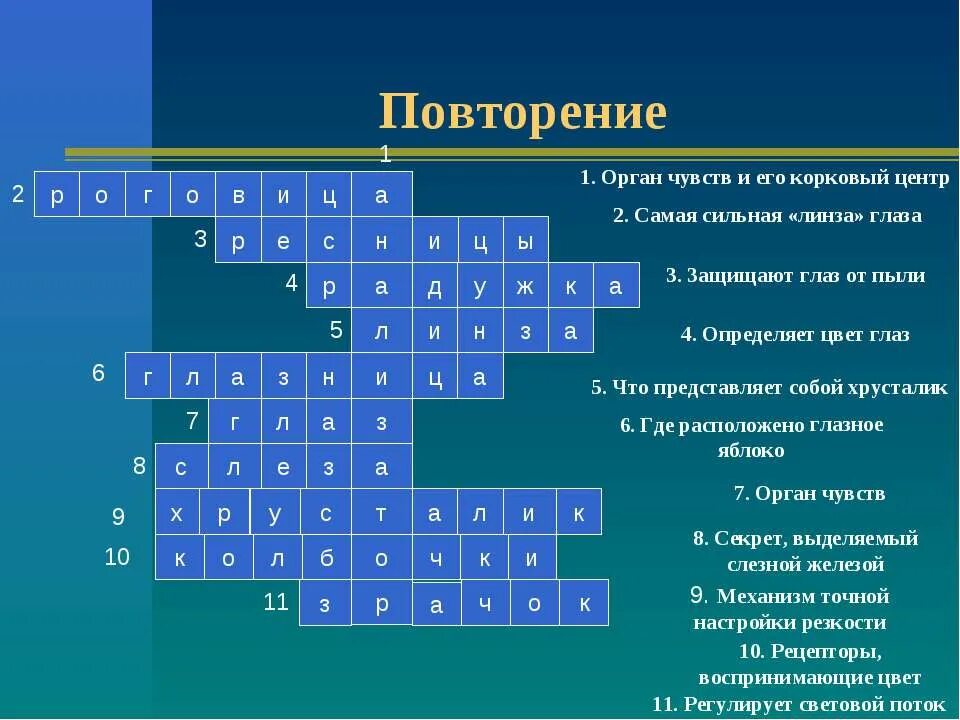 кроссворд по теме органы. кроссворд на тему организм человека. кроссворд на тему оптические явления. кроссворд по теме зрительный анализатор 8 класс биология. кроссворд орган зрения.