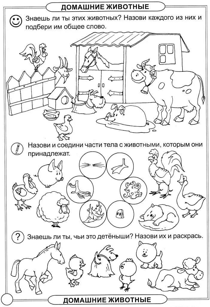 Задания для детей 3 класса. Домашние животные задания для дошкольников 6-7 лет. домашние животные задания для детей. домашние животныехадания. домашнее животные задания для дошкольников.