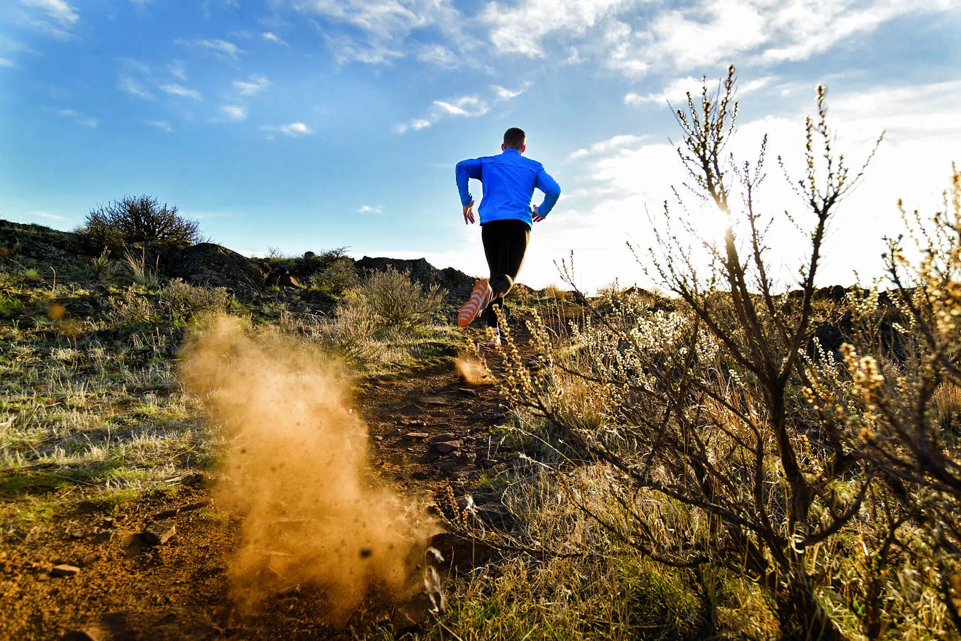 Running trees