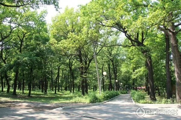 Сайт загородного парка. Парк Горького Самара. Загородный парк Самара склоня. Парк загородный парк Владивосток. Загородный парк Самара 2022.