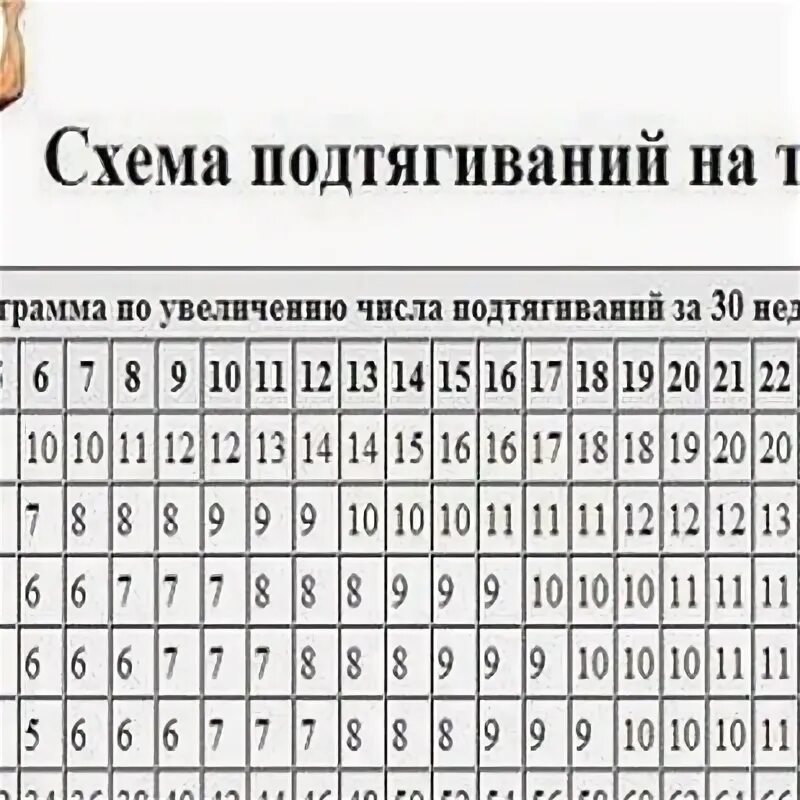 Таблица подтягиваний на турнике. Схема подтягиваний. Схема подтягиваний на турнике. Схема подтягиваний с нуля. Увеличение количества подтягиваний