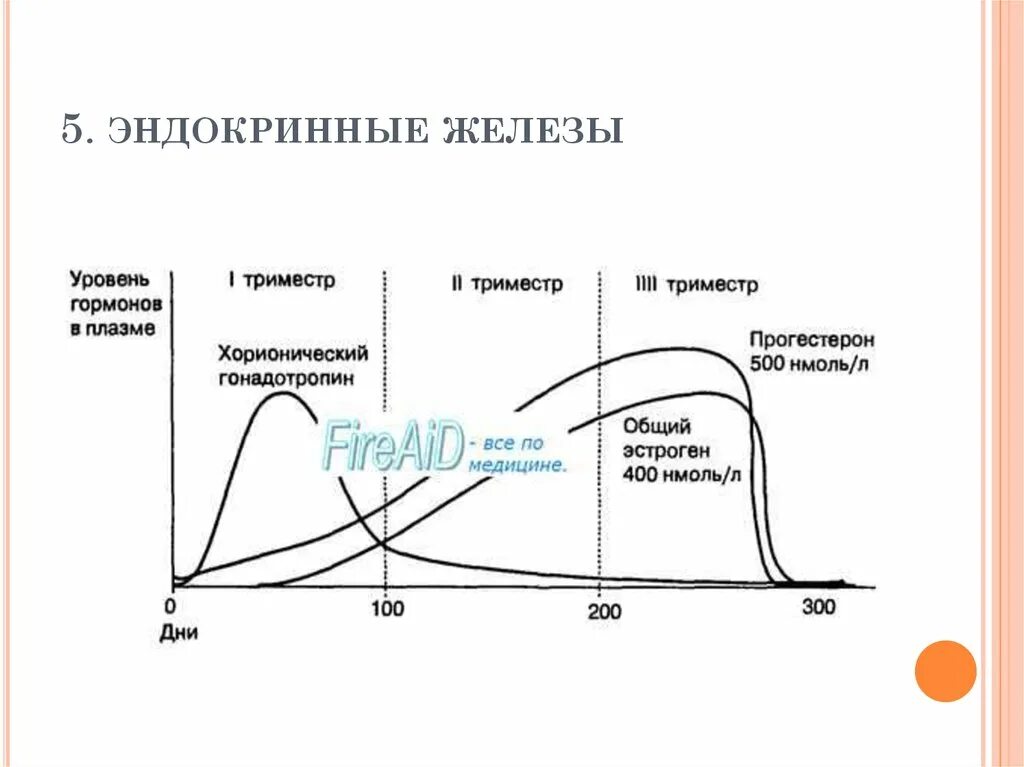 Изменение уровня гормонов. Рисунки управление уровнем гормонов. Уровень гормона в третий триместр и после родов. Рассчитывается адаптационный радиус климатический. Адаптационные изменения при беременности гифки.