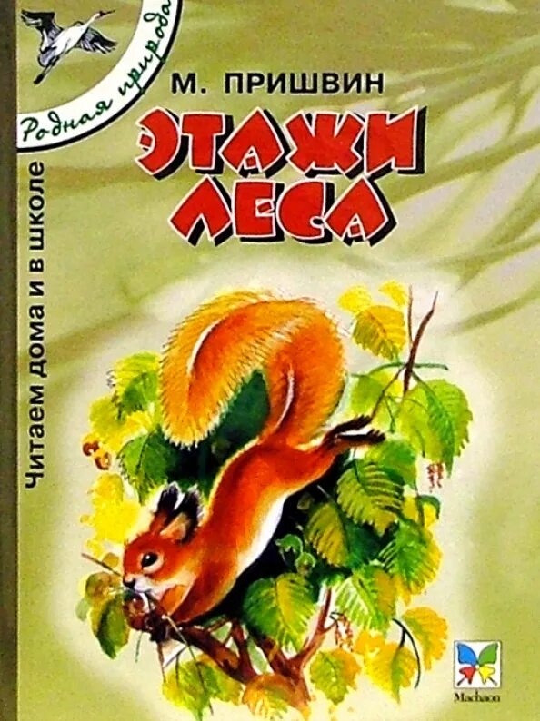 Лесные этажи пришвин. Книга пришвин этажи леса. Книга пришвин этажи леса. Лесные этажи пришвин. Рассказ м пришвин этажи леса.