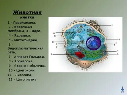 Порно қожайын құлға сийеді