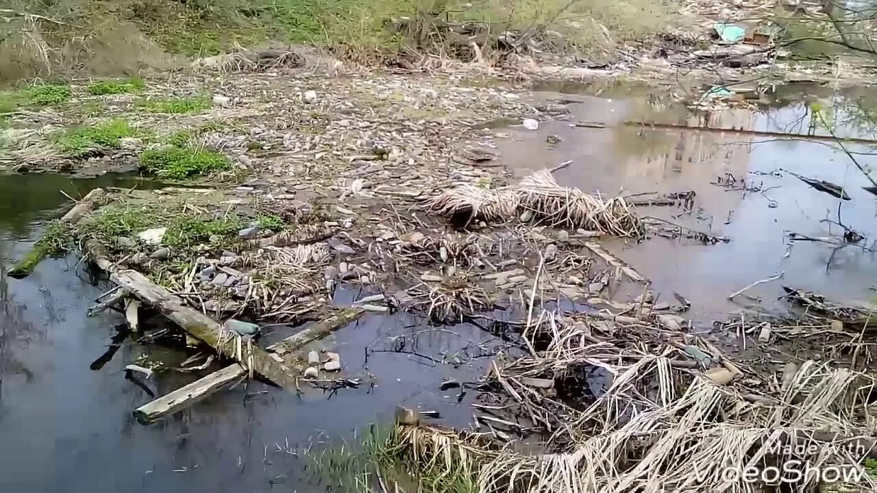 Уровень воды в клязьме сегодня галицы. Река Клязьма грязная. Загрязнение реки Клязьма. Загрязненная река Клязьма в Щелково. Загрязнение реки Клязьма в Королеве.