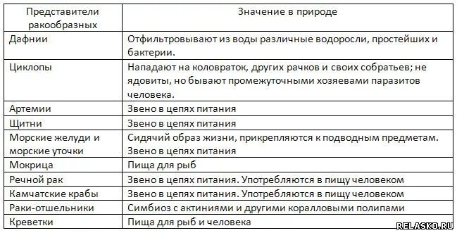Какого значение ракообразных в природе. Значение ракообразных в природе таблица. заполните таблицу значение ракообразных в природе. значение ракообразных в природе. представители ракообразных значение в природе таблица.