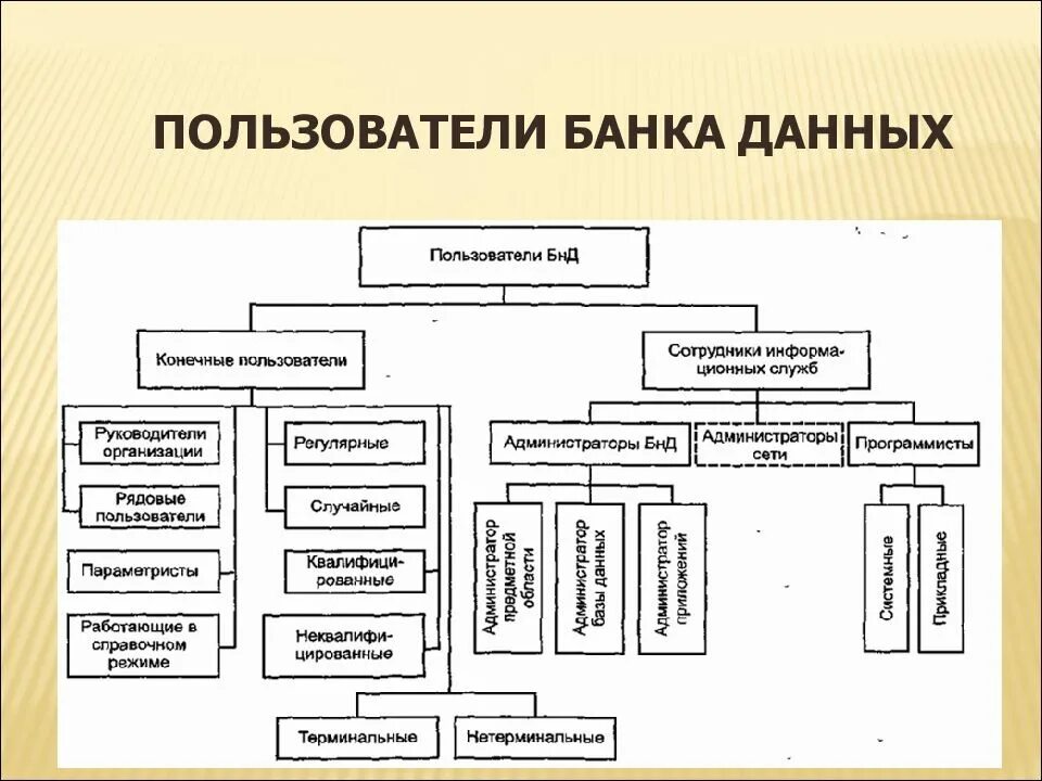 Назначение банков данных. Пользователи банка данных и их функции. Пользователи банков данных. Пользователь банка. Схема банка данных.