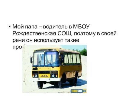 Мой папа водитель