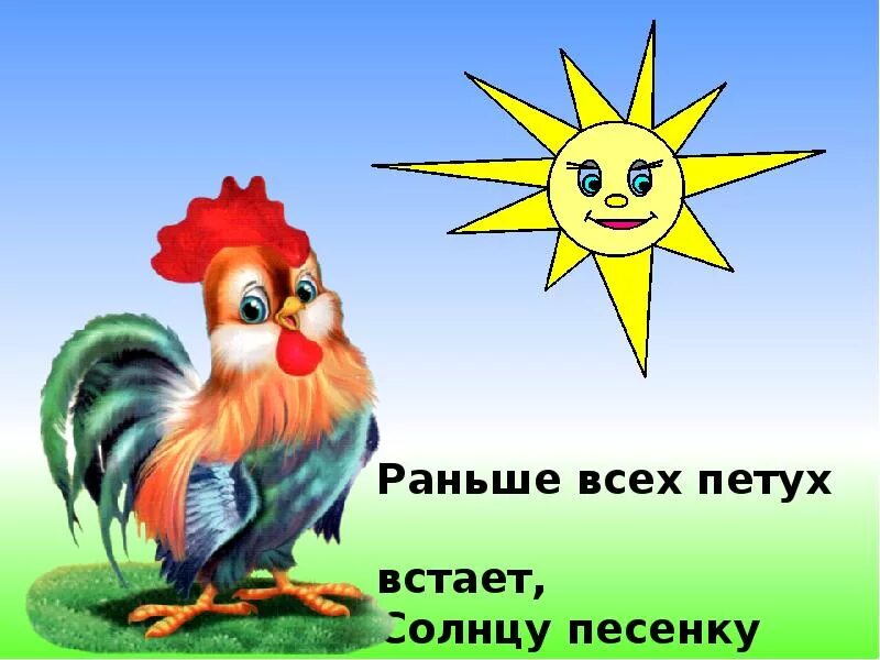 Песня солнышко рано встанет. Петух и солнце. петушок просыпается. вставать с петухами. петух и солнышко.