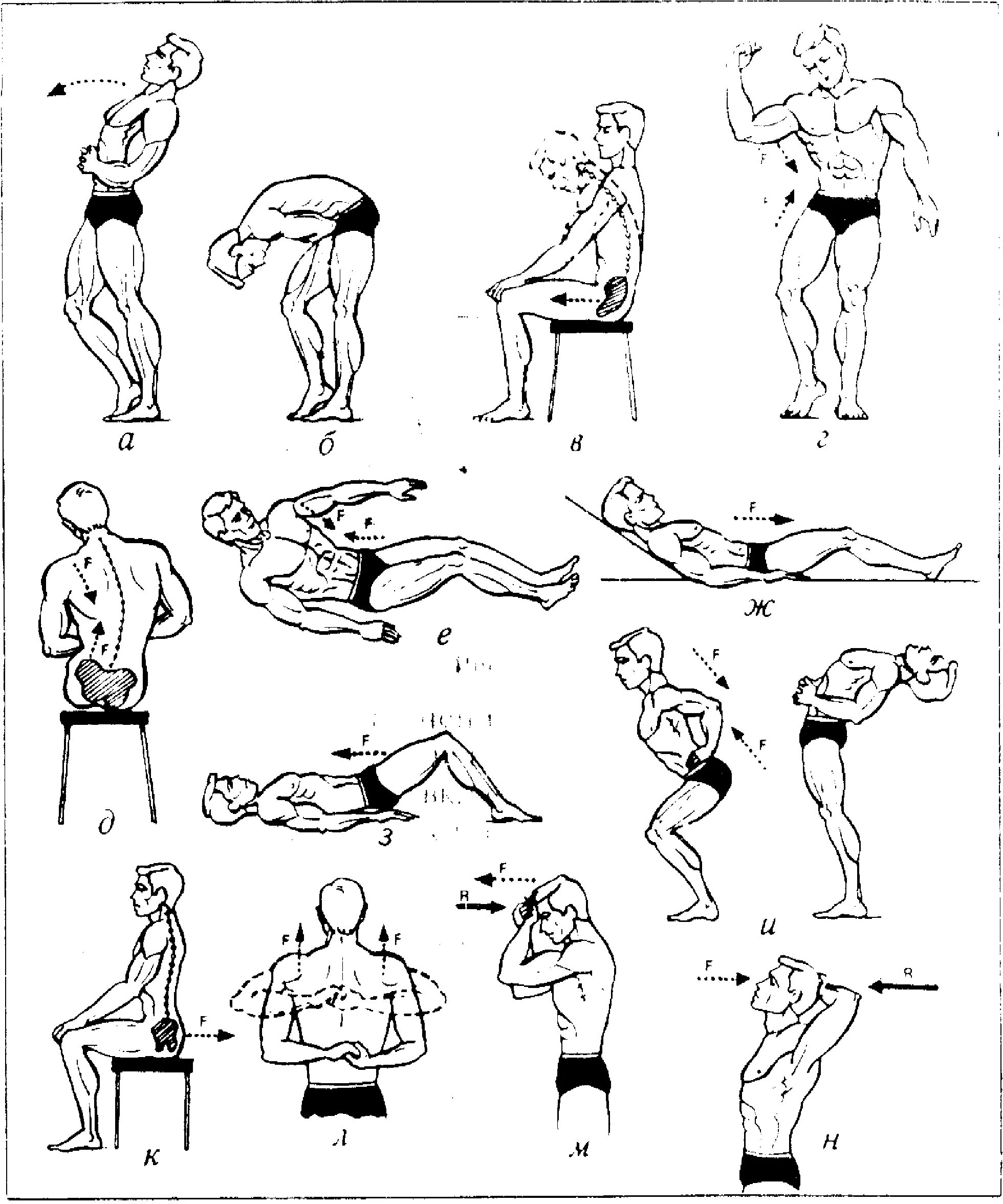 Какие упражнения для развития мышц. Силовые упражнения для мышц туловища. Изометрические силовые упражнения. Силовой комплекс упражнений на мышцы. Комплекс силовыхупражнкний.