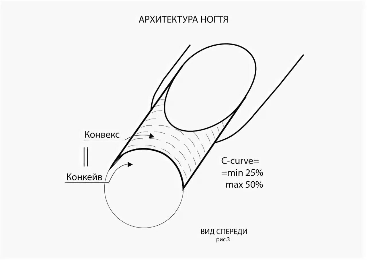 Неправильная форма ногтей. Ноготь сбоку апекс. Архитектура ногтя гелем. Опил формы ногтей. Архитектура ногтя гелем.
